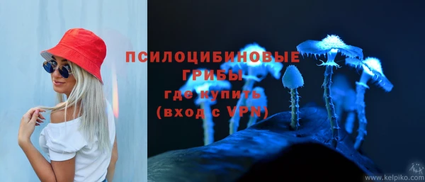 apvp Балабаново